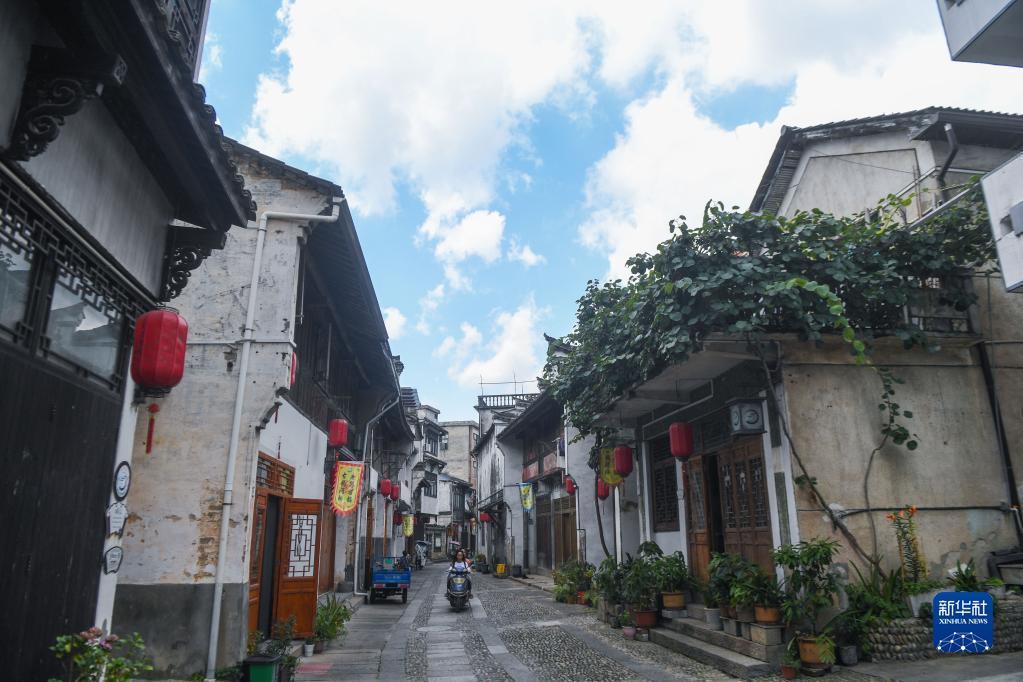 探知天机,解惑蜗牛,如何过冬至?问答平台